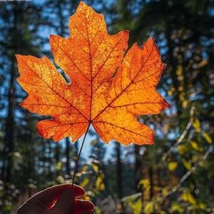 Meet your Posher, Thu trang